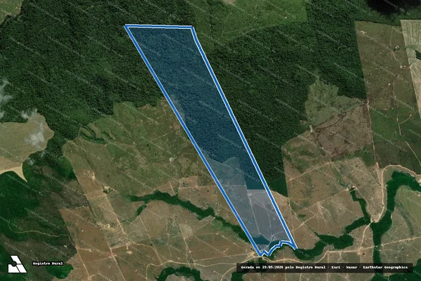 Imagem de satélite de FAZENDA CAMPOS ALTOS - Parcela 1 em Dom Eliseu - PA