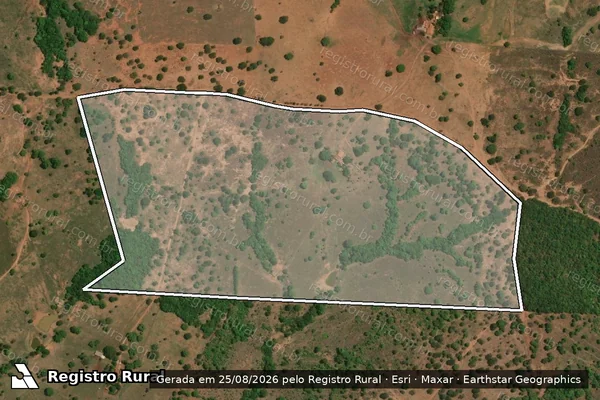 Imagem de satélite de FAZENDA RIO DO PEIXE DOS PITALUGAS - 001 em Pilar de Goiás - GO
