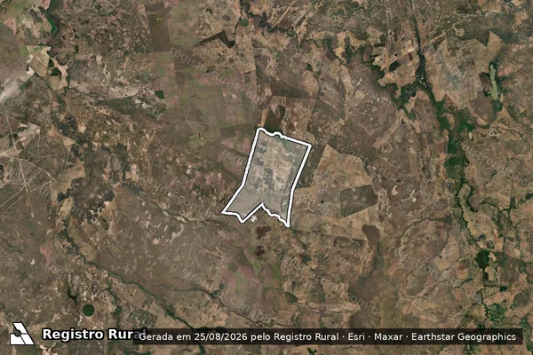 Imagem de satélite de PA LIBERDADE FLORES II ? PERÍMETRO - PARTE I em Flores de Goiás - GO