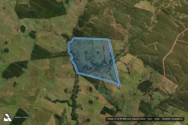 Imagem de satélite de PARTE REMANESCENTE DA FAZENDA BORBOLETA - Parte 1 em Santa Rita do Pardo - MS
