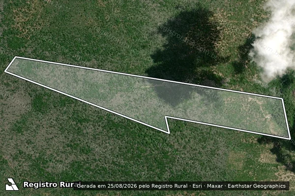 Imagem de satélite de Fazenda Tambaqui - Parte 1 em Monte Alegre - PA