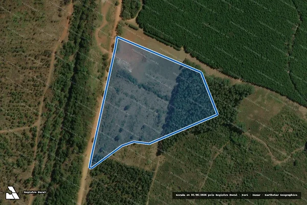 Imagem de satélite de FAZENDA RETIRO FELIZ - GLEBA 01C em Bom Sucesso de Itararé - SP