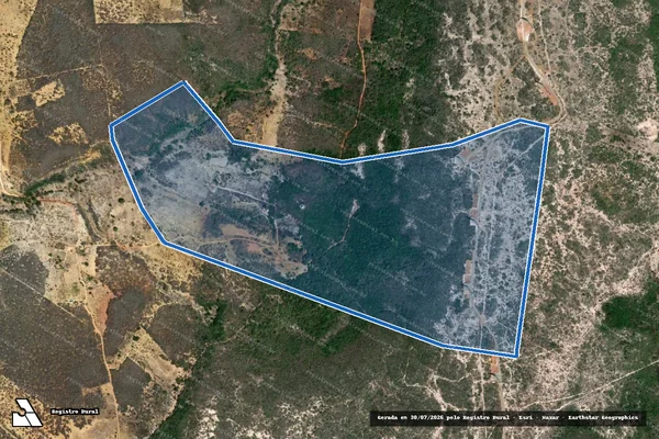 Imagem de satélite de FAZENDA BURACAO - JOSELITO OLIVEIRA NASCIMENTO em Morro do Chapéu - BA