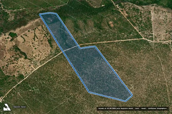 Imagem de satélite de Fazenda Varzea Grande Gleba B - FAZENDA VARZEA GRANDE GLEBA B em Riachão das Neves - BA