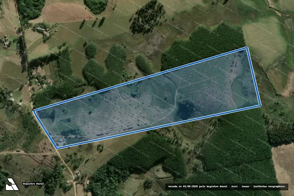 Imagem de satélite de Lote 19 do Projeto de Assentamento Boa Vista em Camaquã - RS