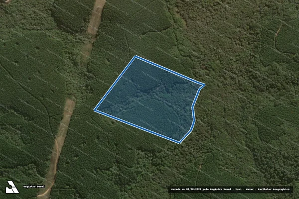 Imagem de satélite de Fazenda Caçador II - Parte-1 em Piraí do Sul - PR