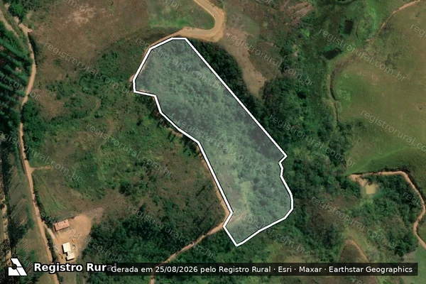 Imagem de satélite de Fazenda Triqueda ? Gleba 25 - Área 35 em Coronel Pacheco - MG