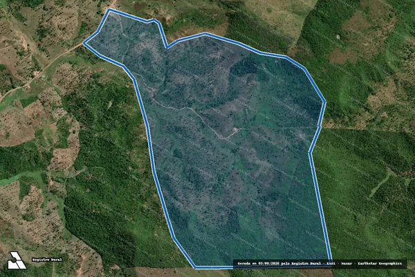 Imagem de satélite de FAZENDA OURO PRETO - Única em Lago da Pedra - MA