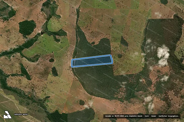 Imagem de satélite de FAZENDA MONTE ALTO L.D. SÃO JOÃO E NOSSA SENHORA APARECIDA - Matrícula 27.780_GLEBA 07 em Mineiros - GO