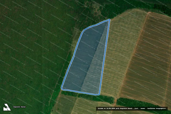 Imagem de satélite de FAZENDA GÁVEA - Área Desmembrada 03-B em Chapadão do Sul - MS