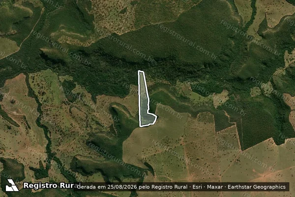 Imagem de satélite de Fazenda Analice - Área  Desmembrada em Costa Rica - MS