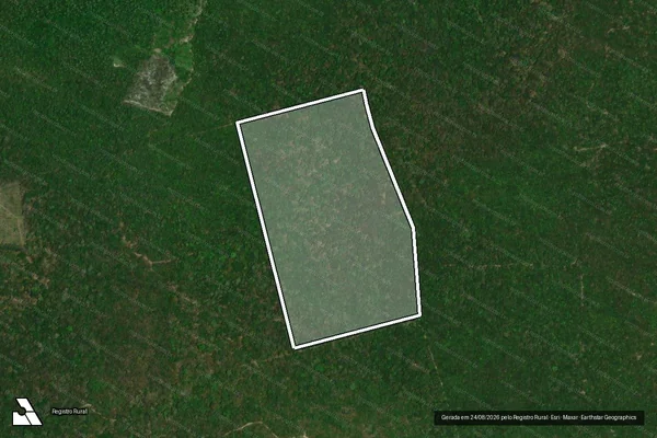 Imagem de satélite de FAZENDA NOVA  - Parte 13 em Codó - MA