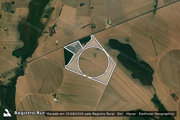 Imagem de satélite de FAZENDA FORMOSO, LUGAR FAZENDA PRIMAVERA - GLEBA 04 em Paraúna - GO