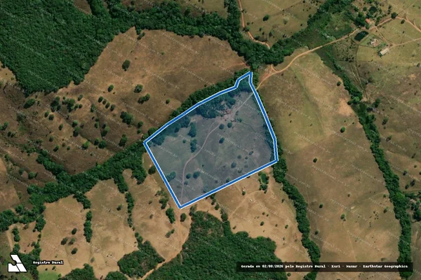 Imagem de satélite de Fazenda Passa Quatro Lugar Bracinho - 001 em São Miguel do Passa Quatro - GO