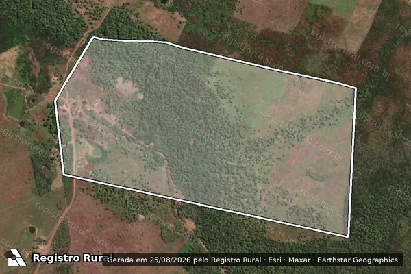 Imagem de satélite de FAZENDA IGARAPE ? DESMEMBRAMENTO - Parte 1 em Coroatá - MA
