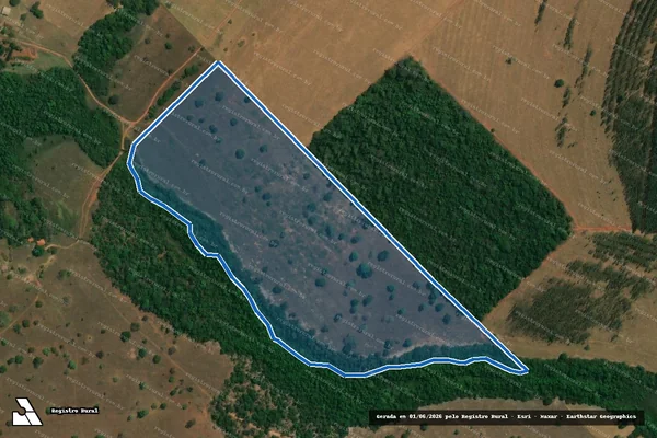 Imagem de satélite de FAZENDA RIBEIRÃO DOS PAULAS - Parte 1 em Cachoeira Alta - GO