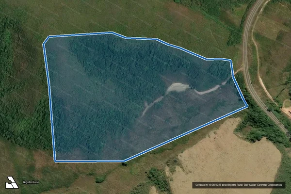 Imagem de satélite de Fazenda Pacau - Fazenda Pacau-Gleba 03 em Bom Jardim de Minas - MG