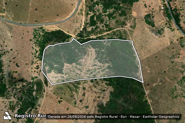 Imagem de satélite de Fazenda Palmeira / Posse 02
