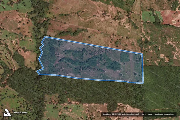 Imagem de satélite de FAZENDA FLORES - Parte 12 em Januária - MG