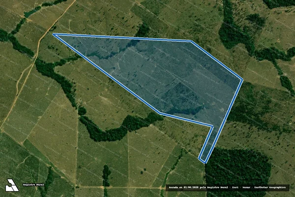 Imagem de satélite de SERINGAL CAMPINAS - ESTÂNCIA VIDA NOVA 05- SERINGAL CAMPINAS em Campo Novo de Rondônia - RO