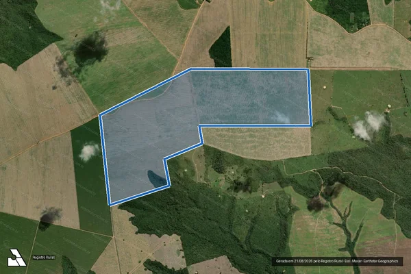 Imagem de satélite de FAZENDA INCOMAF III em Dom Eliseu - PA