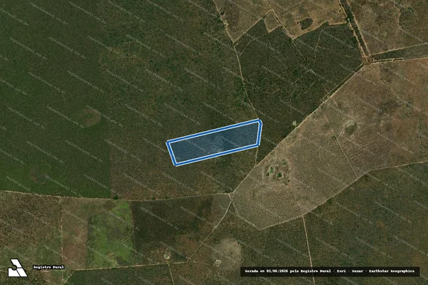 Imagem de satélite de FAZENDA REUNIDAS MARINHO DAS GRAÇAS  - PARCELA 14 - GLEBA D em Brejolândia - BA