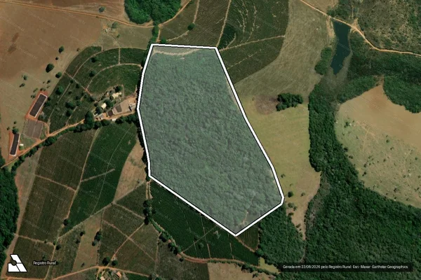 Imagem de satélite de FAZENDA BELA VISTA - Parcela 1 em São Francisco de Paula - MG