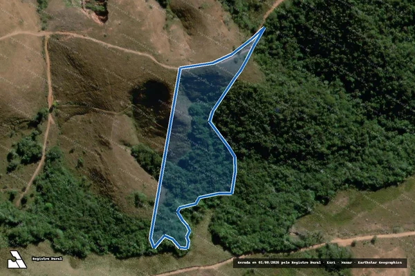 Imagem de satélite de Fazenda Pinhal II - II em Lima Duarte - MG