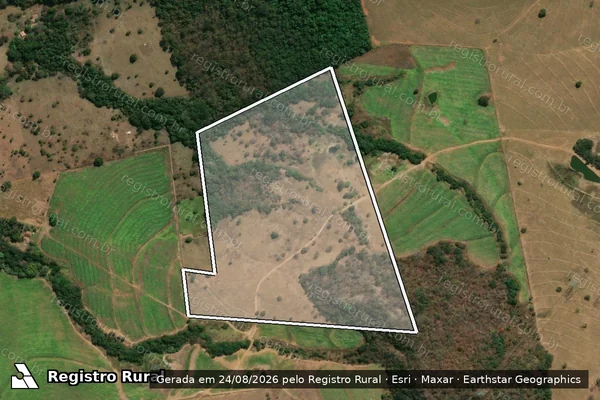 Imagem de satélite de FAZENDA SÃO DOMINGOS - GL2 - Parte 1 em Palmeiras de Goiás - GO