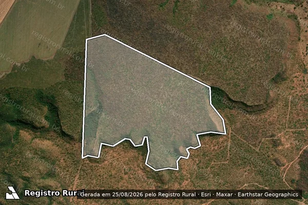Imagem de satélite de Fazenda Chiqueiro I, II e Riachão dos Paulos - Fazenda Riachão dos Paulos ? Mat. 1208 em Baixa Grande do Ribeiro - PI