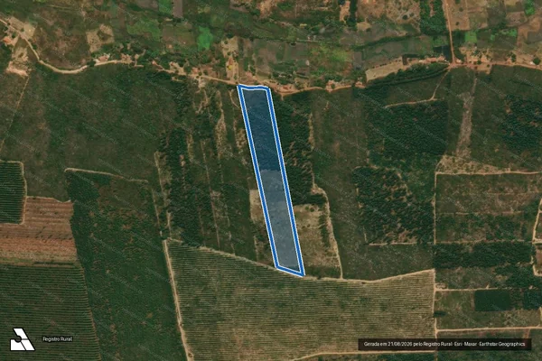 Imagem de satélite de FAZENDA BREJINHO DO SÃO CAMILO - Parte 2 em Rio Pardo de Minas - MG