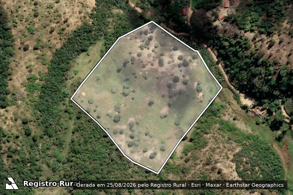 Imagem de satélite de Fazenda Salva Vida - Gleba 2 em Monte Formoso - MG