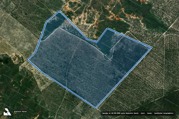Imagem de satélite de Fazenda Galiléia/Borba Gato II - Parte 2? Município de Inhambupe em Olindina - BA