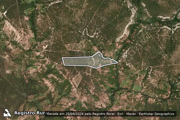 Imagem de satélite de FAZENDA FLORES - Parte 1 em Januária - MG