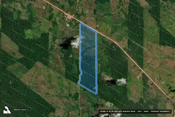 Imagem de satélite de Fazenda Castanheira - SÍTIO SOUZA em Anapu - PA