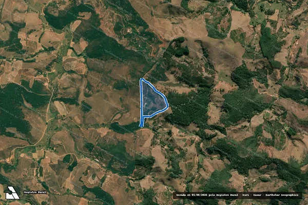 Imagem de satélite de "Vista Alegre" ou "Perú" - Parcela 1 em Ervália - MG