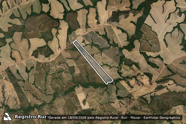 Imagem de satélite de Lote – 31 P.A SAFRA / Lote – 31