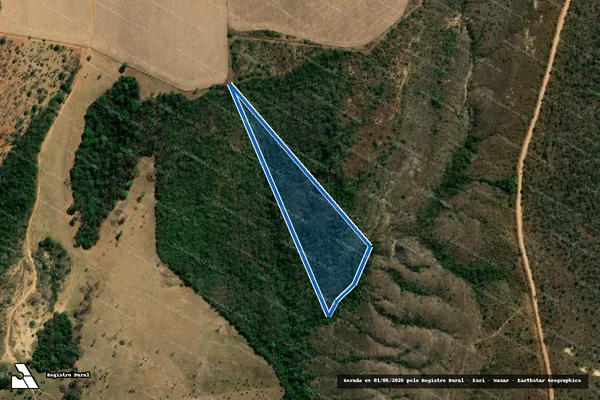 Imagem de satélite de FAZENDA SACO GRANDE OU CRIXAS - Gleba B em Formosa - GO