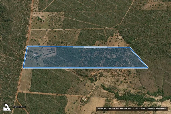 Imagem de satélite de LOTE ? 13 -  PA PALMEIRA GADO BRAVO - Gleba 13 em Buritis - MG