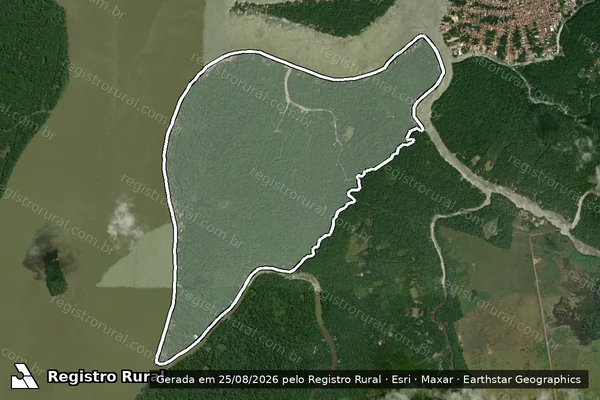Imagem de satélite de PROJETO DE ASSENTAMENTO AGROEXTRATIVISTA SÃO JOÃO BATISTA I - PARTE-03 em Abaetetuba - PA
