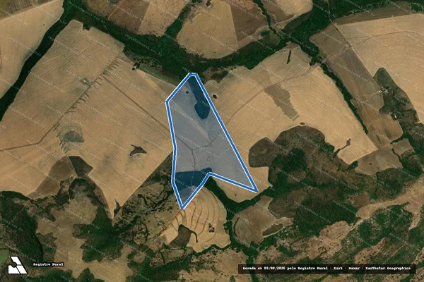 Imagem de satélite de Fazenda Perdizes - 001 em Baliza - GO