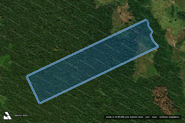 Imagem de satélite de PAR ANTIMARY GLEBA 02 LOTE 64 - Parte 1 em Boca do Acre - AM