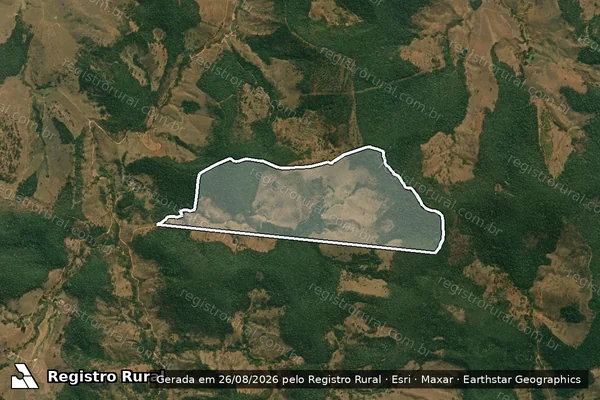 Imagem de satélite de ?Regalito? - Parte 1 em Braúnas - MG