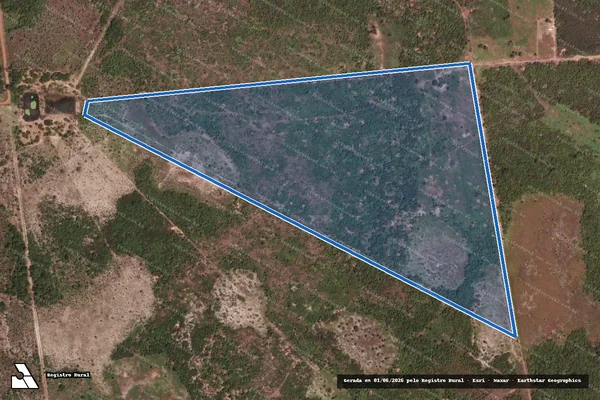Imagem de satélite de PA FAZENDA  ALEGRE ? LOTE 47 - PARTE I em Flores de Goiás - GO