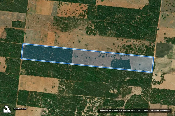 Imagem de satélite de PROJETO DE ASSENTAMENTO 1 DE MAIO ? LOTE 31 - Parte 1 em Caraúbas - RN