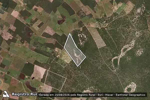 Imagem de satélite de Fazenda Lagoa do Canto - PARCELA 3 em Carinhanha - BA