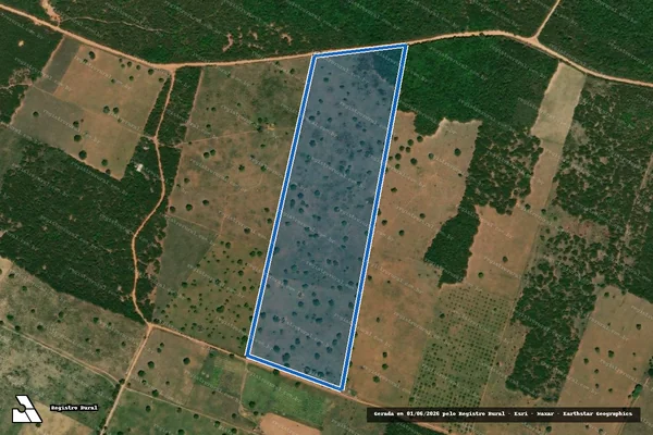 Imagem de satélite de PROJETO DE ASSENTAMENTO PETROLINA ? LOTE 05 - Parte 1 em Caraúbas - RN