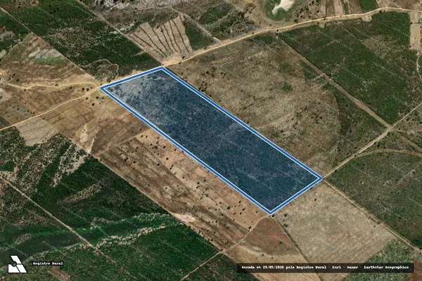 Imagem de satélite de FAZENDA LAGOA GRANDE  - FAZENDA LAGOA GRANDE Gleba B em Wanderley - BA