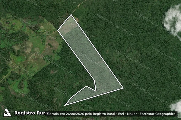 Imagem de satélite de Fazenda Tharawa - Parcela 1 em Caracaraí - RR