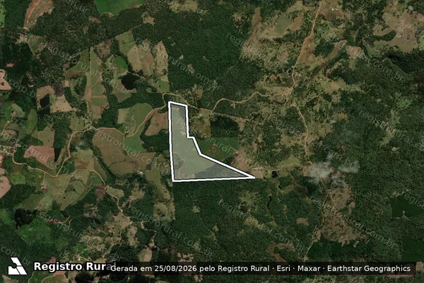 Imagem de satélite de PARTE DO QUINHÃO Nº 03, IMÓVEL TORRES OU CAPÃO GRANDE - Matrícula * em Reserva do Iguaçu - PR